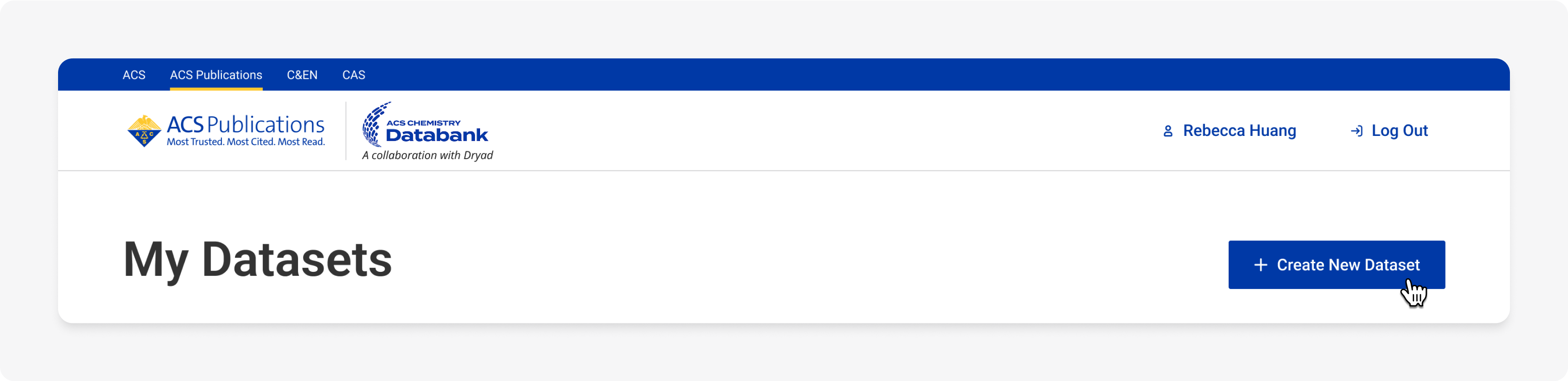Create New Dataset button in dashboard